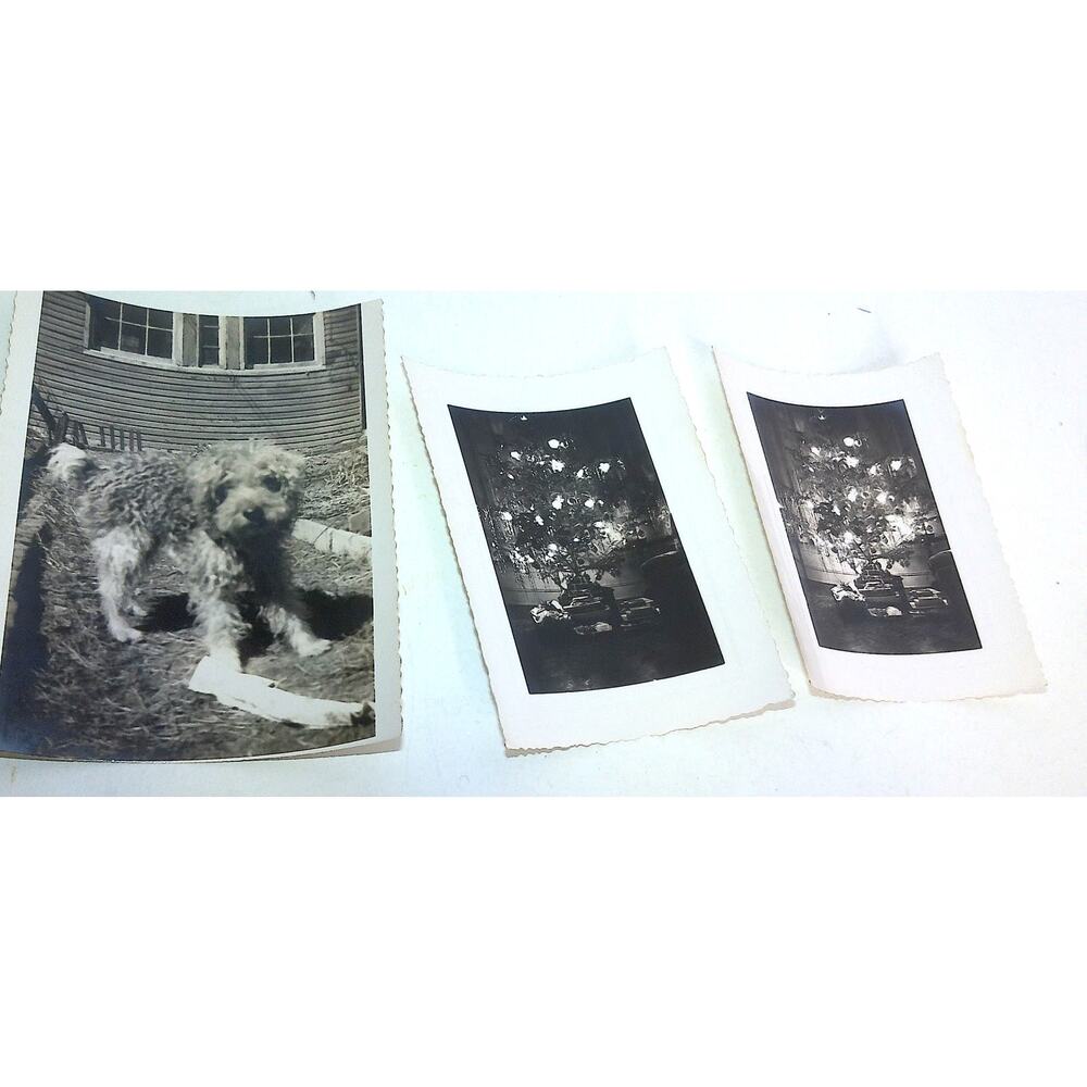 Vintage B&W Photographs 1930s-50s Military Animals Cars Life History 100+ - Picture 10 of 12